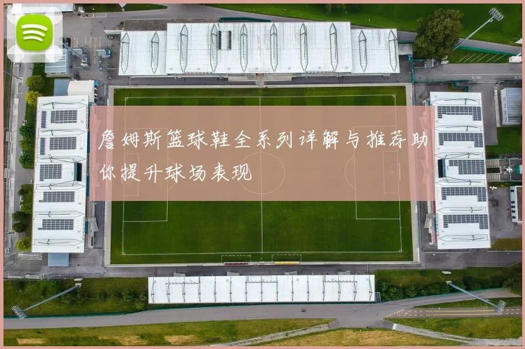 詹姆斯篮球鞋全系列详解与推荐助你提升球场表现