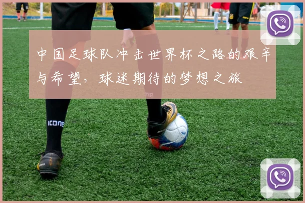 中国足球队冲击世界杯之路的艰辛与希望，球迷期待的梦想之旅