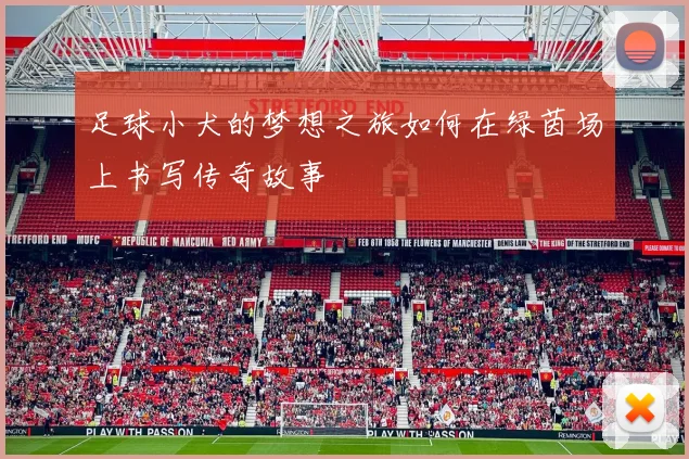 足球小犬的梦想之旅如何在绿茵场上书写传奇故事
