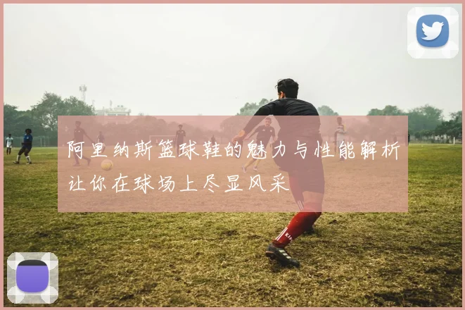 阿里纳斯篮球鞋的魅力与性能解析让你在球场上尽显风采