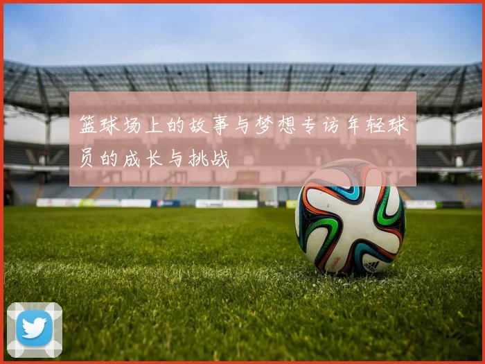 篮球场上的故事与梦想专访年轻球员的成长与挑战