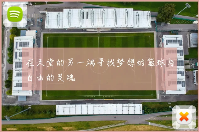 在天堂的另一端寻找梦想的篮球与自由的灵魂
