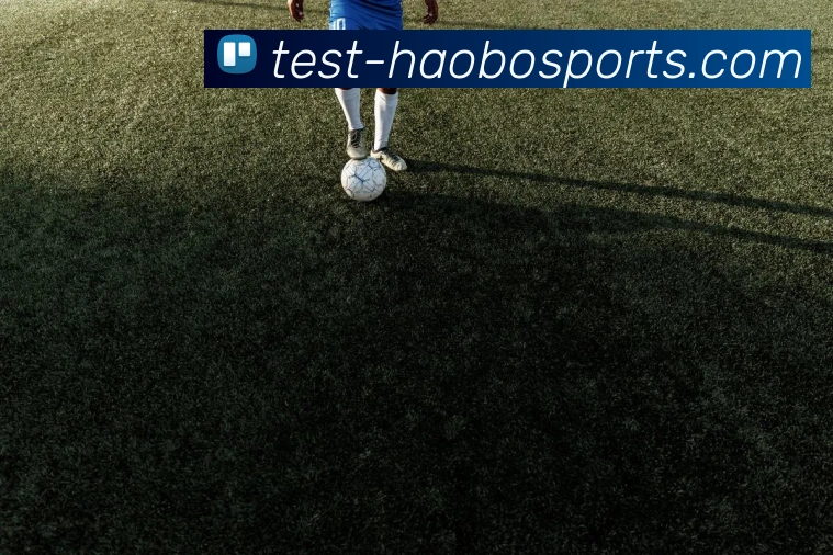 好博体育APP 封面图